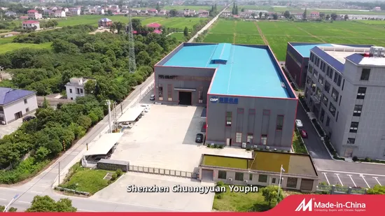 Sistema de tratamiento de agua con filtro de ultrafiltración por ósmosis inversa de agua mineral natural purificada de 1 a 100 toneladas